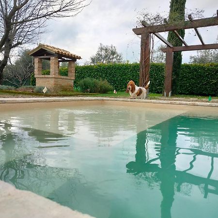 Ca' Le Cerque, Villa Surrounded By The Marche Nature Fossombrone Eksteriør billede