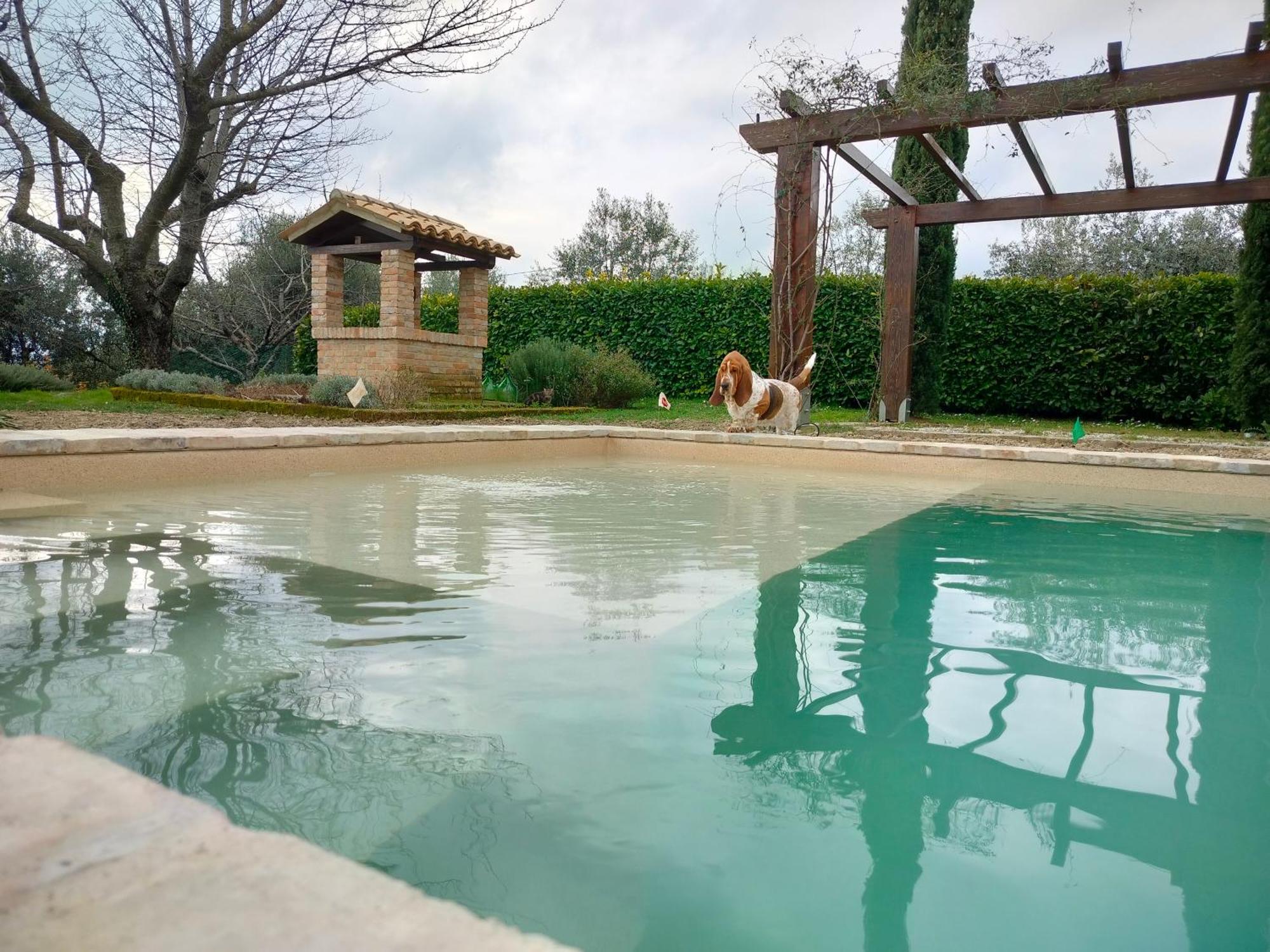 Ca' Le Cerque, Villa Surrounded By The Marche Nature Fossombrone Eksteriør billede